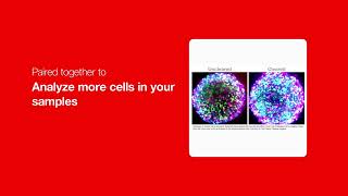 Perfect Pairings Cytovista 3D Clearing Kit Click-It Edu Cell Proliferation Kit