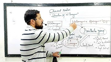 Lec:4 ENZYMES(Part-2) | Classification & Chemical Structure | Class 11th | Biomolecules | NEET |