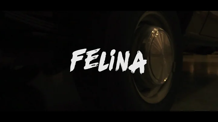 Felina - Blacky BnD x Zafflow