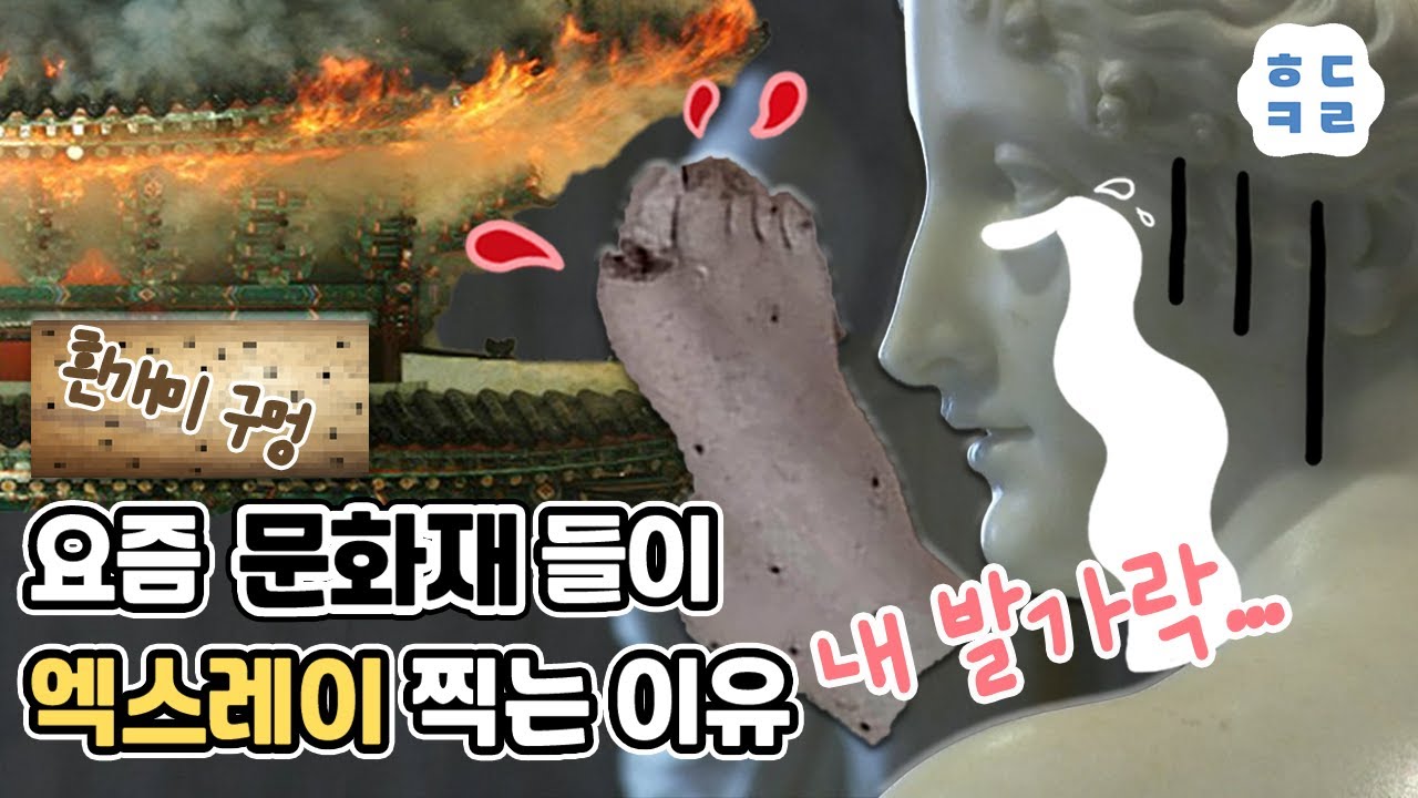 방사선으로 문화재 복원? 셀카 찍다 발가락 잘려 엑스레이 찍은 사연🤦♂️/ㅎㄷㅋㄹ