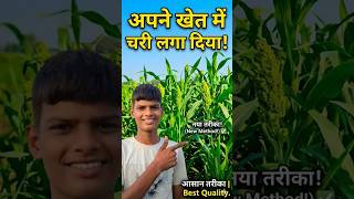 aaj ghar per gayon ke liye cherry Ko chitwa Diya khet mein aur tractor se chudwa bhi diya#dailyvlog