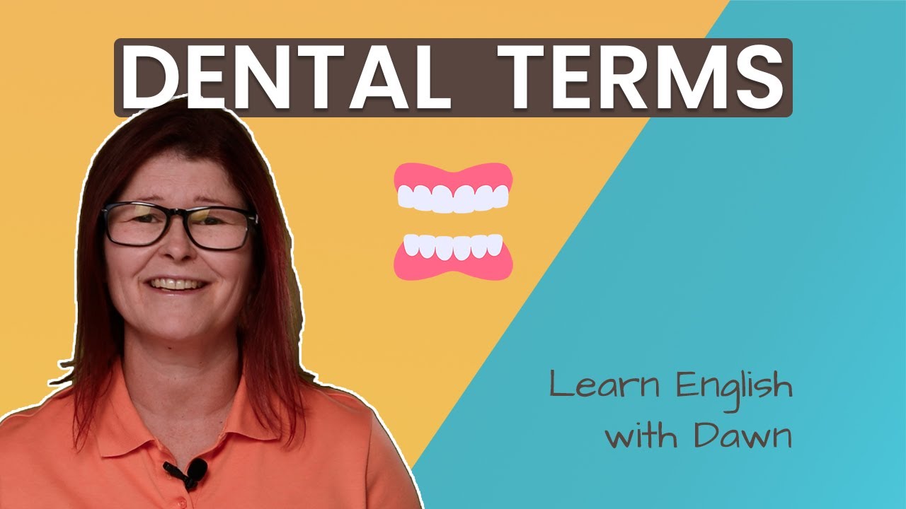 Dental Terms Vocabulary Lesson Learn English with Dawn YouTube