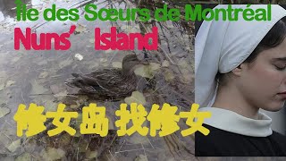 4K - Nuns' Island/Île des Sœurs 修女岛上找修女 蒙特利尔/海哥Hihai Montreal QC Canada
