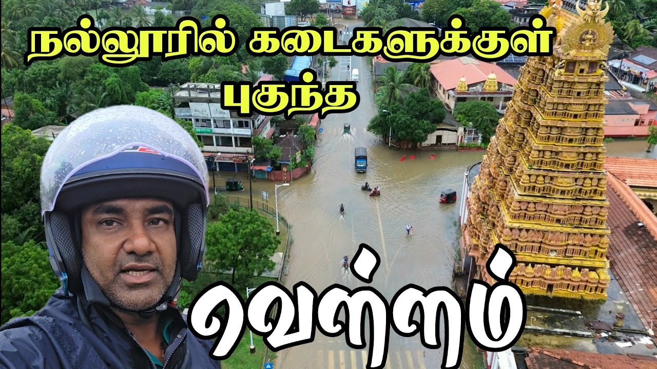 நல்லூர் பின் வீதி | Thedal | Jaffna Rain Flood | Jaffnavlogs 