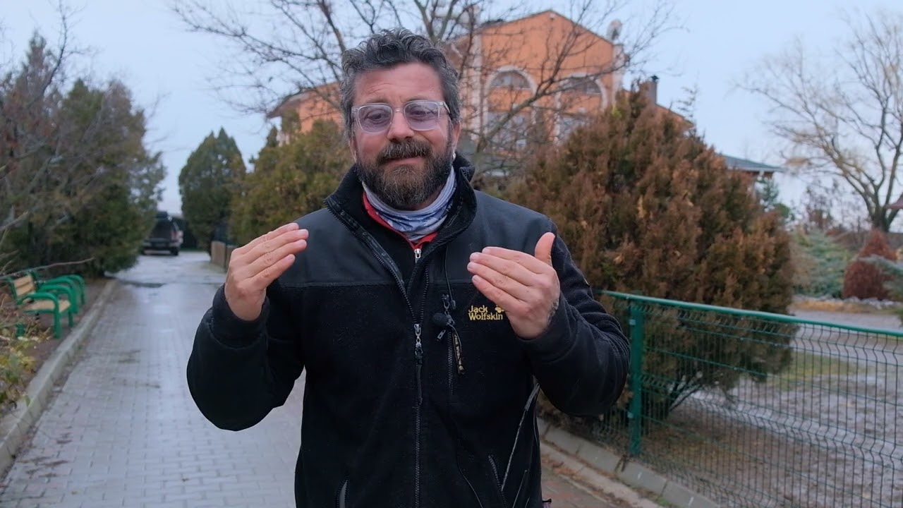 Hareketliliği Yüksek Olan Köpeklere Yaklaşım