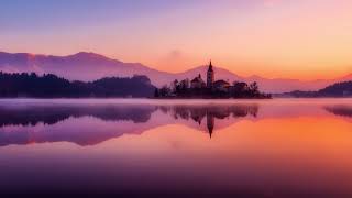 10 hours Dawn Birds Frogs Forest Crow Nature Sounds