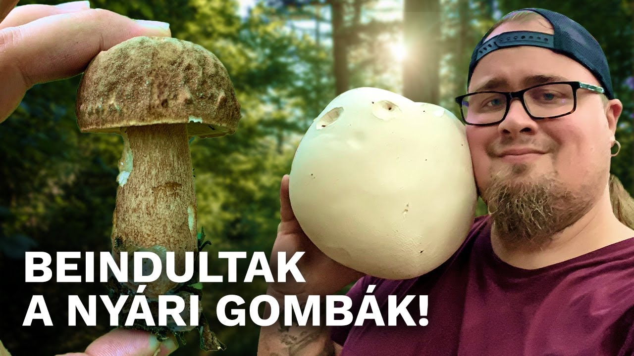 PÖFETEG, VARGÁNYA meg egy kis ŐZLÁB a kosárban