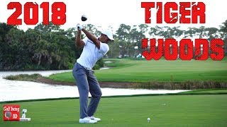 2018 TIGER WOODS 120fps DTL SLOW MOTION DRIVER GOLF SWING 1080 HD