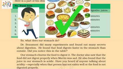 Class 5 EVS Ch-3 From Tasting to Digestion (Part-2) Hindi explanation with illustrations