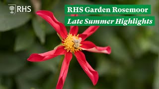 Download Lagu What looks good at RHS Garden Rosemoor in late summer | The RHS MP3