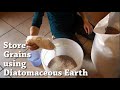 Diatomaceous Earth for Storing Grains // Food Storage // Prepper