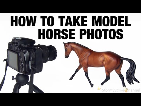How to Photograph Your Model Horses for a Photo Show