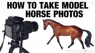 How to Photograph Your Model Horses for a Photo Show screenshot 5