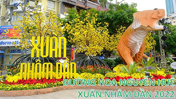 Đường hoa Nguyễn Huệ | Xuân Nhâm Dần 2022 | Phan Long TV