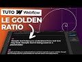 Formation Webflow -  Comment utiliser le golden ratio ?