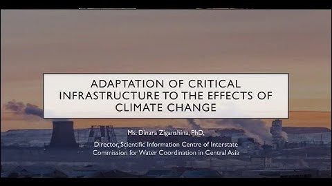 Adaptation of critical infrastructure to the effects of climate change: focus on technological risks