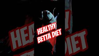Best Foods for a Happy Healthy Betta Fish🐠