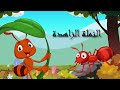 النملة الزاهدة أحمد شوقى أشعار عربية قصص أطفال 