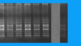 Download Lagu 23723B9F4508F82EF9ADDB3B028DD0#2 MP3