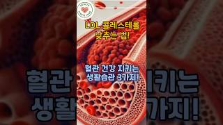 동맥경화 막는 생활습관 3가지 – 심장병 예방 필수! #건강 #건강정보