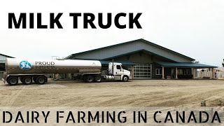 How Milk is Picked up from Dairy Farms