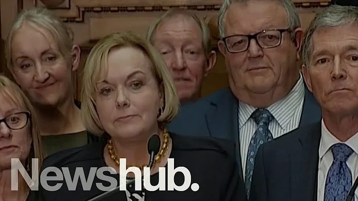 Judith Collins is the new leader of the National P...