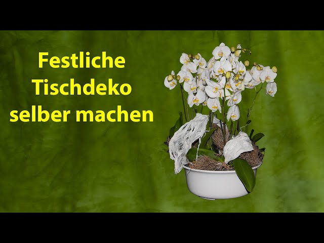 baumarkt küchenzeile mit Geräten CRESO 280 mm Frontfarbe kaschmir Kuchenheber Tortenheber Heber in