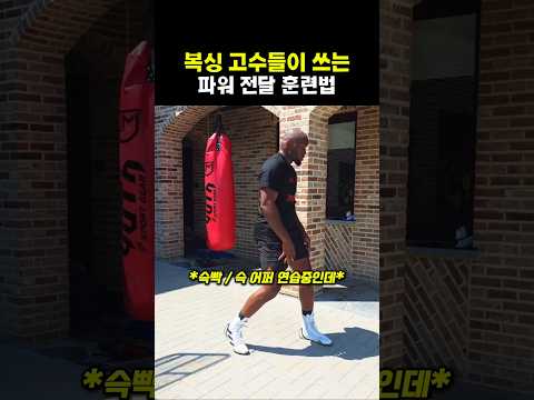 복싱 고수들이 쓰는 파워 전달 훈련법 #복싱 thumbnail