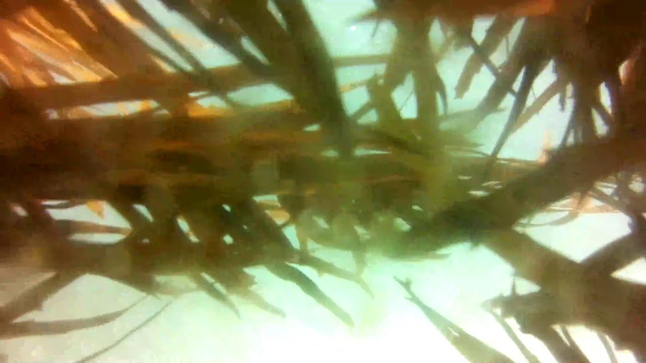 Wagonga Inlet 03/02/2026