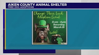 Aiken County Animal Shelter hopes to change shelter pets luck