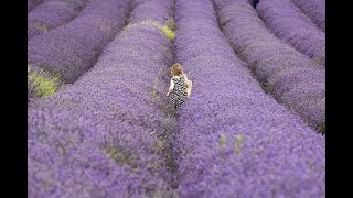 Nurullah Genç - Bana Özlemin Kaldı Şiiri