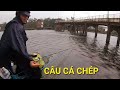 Câu cá chép ngày mưa rét tại hồ toàn cá rô phi