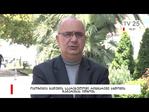 ოპოზიცია ბათუმის საკრებულოში რიგგარეშე სხდომის ჩატარებას ითხოვს