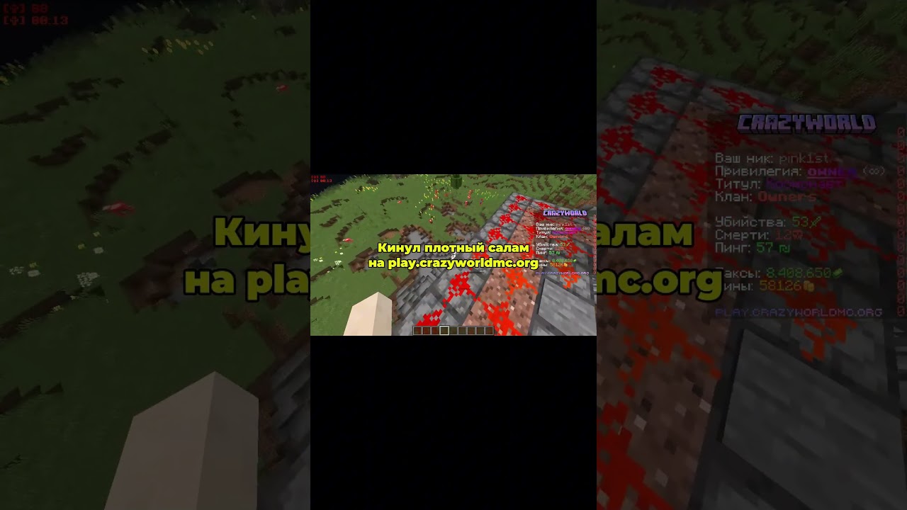 на play.crazyworldmc.org 