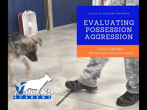 possession aggression