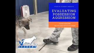 Evaluating Resource Guarding | Amy Pishner | Valor K9 Academy