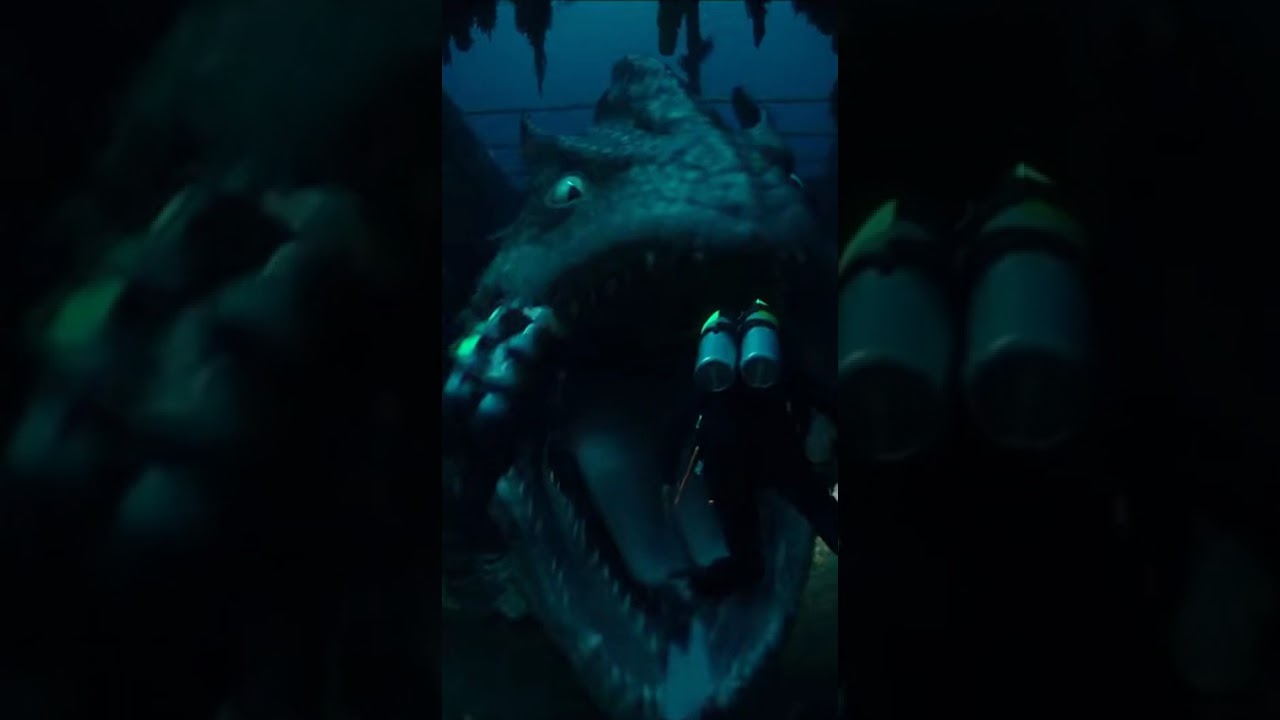 Они думали, что затонувший корабль в безопасности 