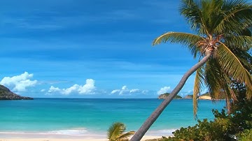 Relaxing  video of a tropical beach with blue sky white sand and palm tree