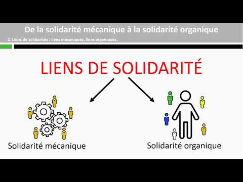 Vidéo: Différence Entre La Solidarité Mécanique Et Organique