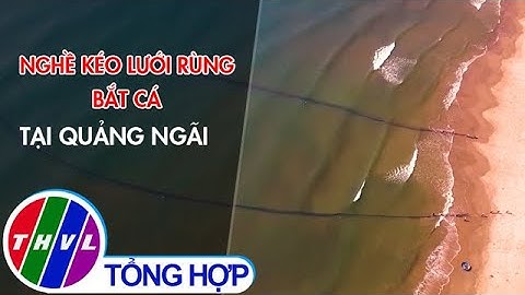 Nghề kéo lưới rùng bắt cá tại Quảng Ngãi