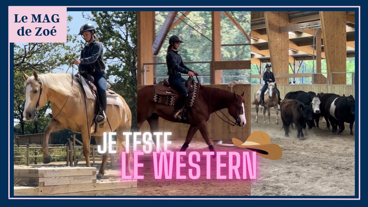 Tenue De Spectacle équitation Western – Chemise Slinky, Faite Main (Allemagne)