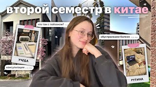 возвращение в китай // начало второго семестра