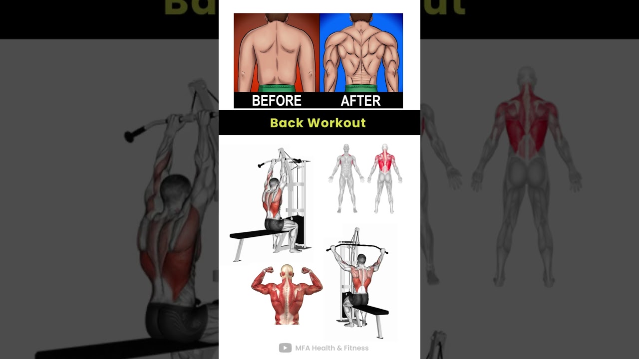 Learn Back Workout || Back Workout Kaise Karte haii 