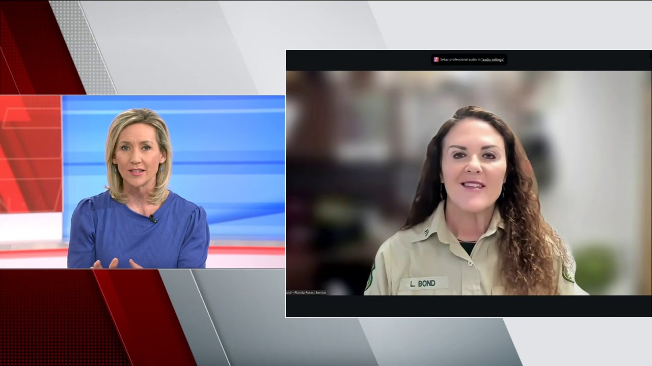 Florida Forest Service shares update on brush fires across Northeast Florida