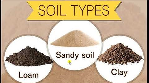AIR IN SOIL