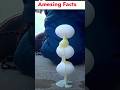 #facts #amazingfacts #info4you