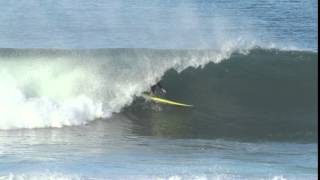 Tyler Hatzikian - Bar Fly Barrel