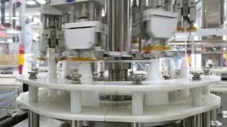 Automatic trigger capping machine ,intelligent setting flexible control,quick change over