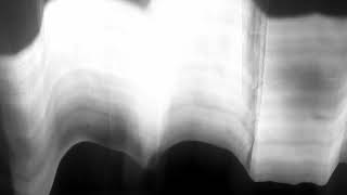 Grebo Gray - Interlude # 17