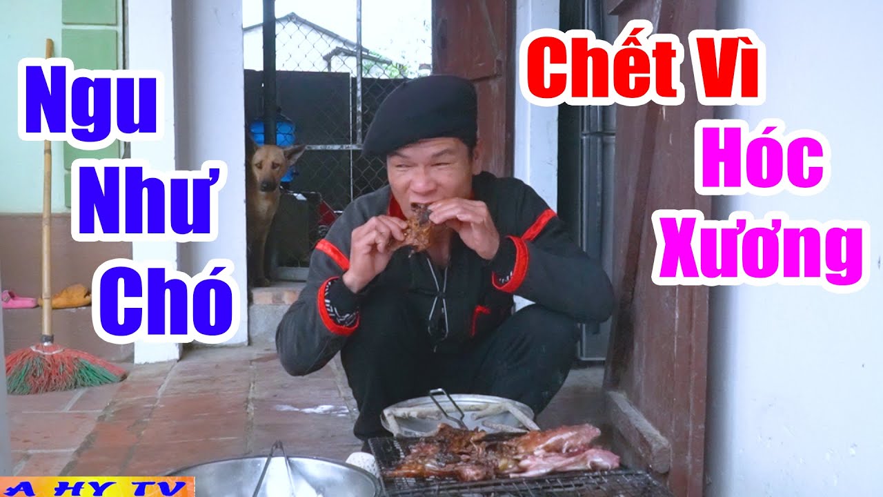 Thánh Ăn Chực Đã Mất Tiền Ngu Phần 28 - Phim Hài Mới Cập Nhật Hôm Nay - Hài Tết A hy 2024